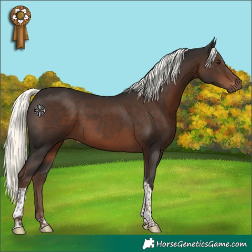 Horse Color:Liver Chestnut Mushroom Tobiano 