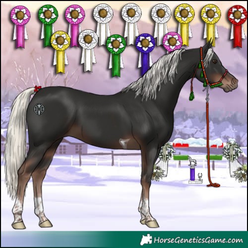 Horse Color:Liver Chestnut Mushroom Tobiano 