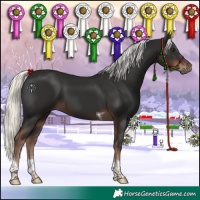 Horse Color:Liver Chestnut Mushroom Tobiano 