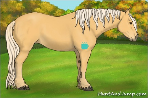Horse Color:Palomino 