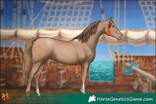 Horse Color:Black Pearl Sabino