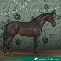 Horse Color:Brown 