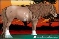 Horse Color:Black Pearl Sabino 