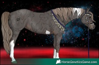 Horse Color:Liver Chestnut Ice Tobiano 