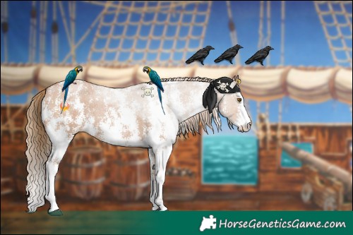 Horse Color:Black Pearl Sabino 