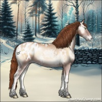 Horse Color:Buckskin Ice Pearl Onyx Blanket 