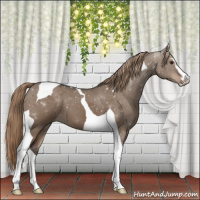 Horse Color:Liver Red Dun Sabino Tobiano