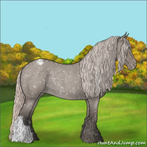 Horse Color:Silver Grullo Roan Appaloosa Rabicano 