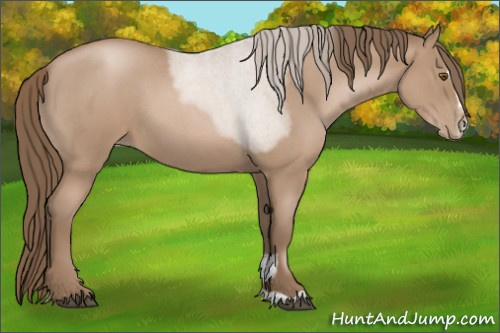 Horse Color:Blue Roan Pearl Sabino