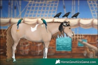 Horse Color:Black Pearl Sabino Tobiano