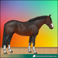 Horse Color:Brown 
