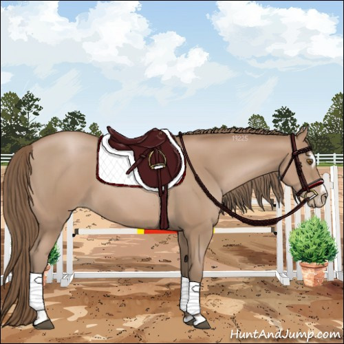 Horse Color:Black Pearl Sabino