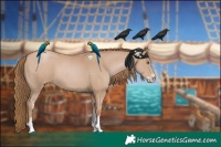 Horse Color:Black Pearl Sabino 