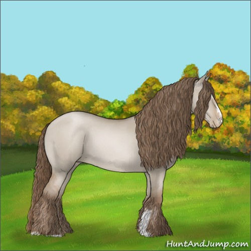Horse Color:Grullo Pearl Sabino