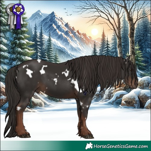 Horse Color:White Spotted Liver Chestnut 