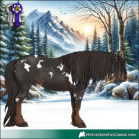 Horse Color:White Spotted Liver Chestnut 