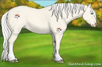Horse Color:White Spotted Cremello Dun Tobiano 