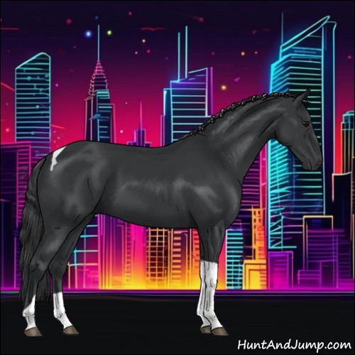 Horse Color:Black Tobiano 