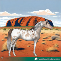 Horse Color:Brown Dun Mushroom Tobiano Appaloosa 
