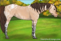 Horse Color:Bay Ice Roan Dun Varnish 