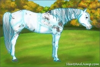 Horse Color:Thunderstruck Grullo Sabino Splash 