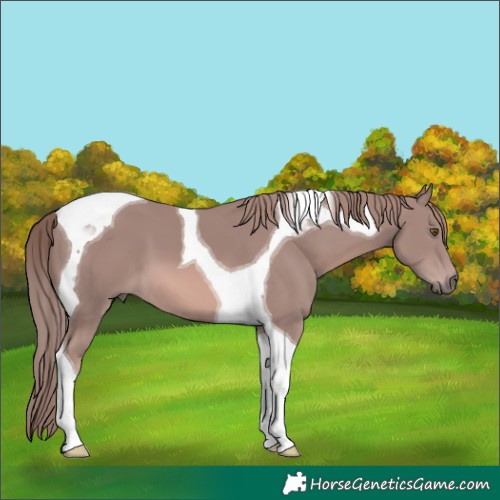 Horse Color:Platinum Chestnut Tobiano 