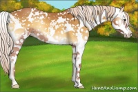 Horse Color:Palomino Onyx Sabino 