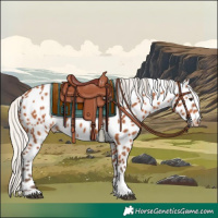 Horse Color:Silver Bay Tobiano Appaloosa 