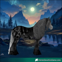 Horse Color:Void Brown Chinchilla Roan Dun Blanket 