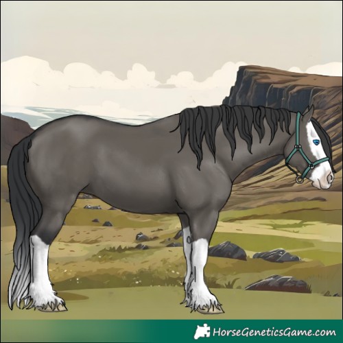 Horse Color:Grullo Splash 