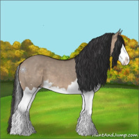 Horse Color:Brown Dun Splash and Brown Dun Splash