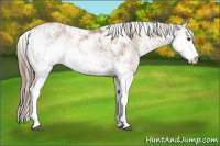 Horse Color:Black Pearl Sabino