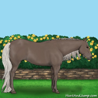 Horse Color:Silver Black 