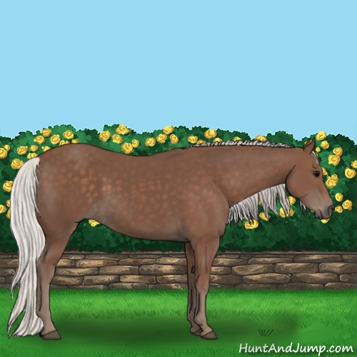 Horse Color:Silver Black 