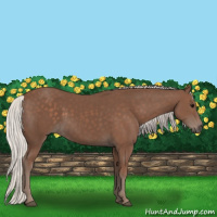 Horse Color:Silver Black 