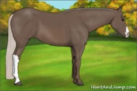 Horse Color:Silver Black 