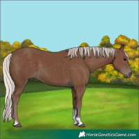 Horse Color:Silver Black Tobiano 