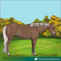 Horse Color:Silver Black