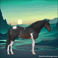 Horse Color:Brown Tobiano Rabicano 