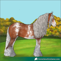 Horse Color:White Spotted Silver Bay Splash 