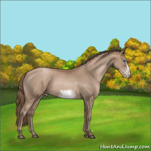 Horse Color:Black Pearl Sabino Frame