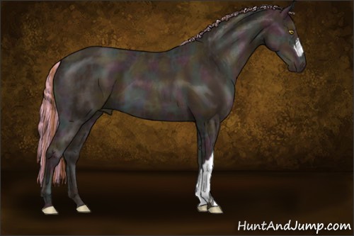 Horse Color:Painted Midnight Gold Champagne Ice 