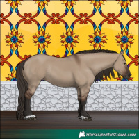 Horse Color:Liver Red Dun Rabicano 