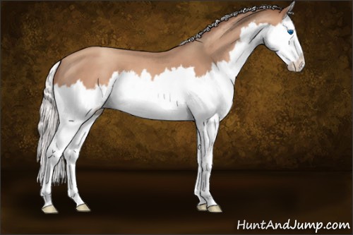 Horse Color:Silver Classic Champagne Splash