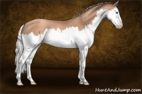 Horse Color:Silver Classic Champagne Splash