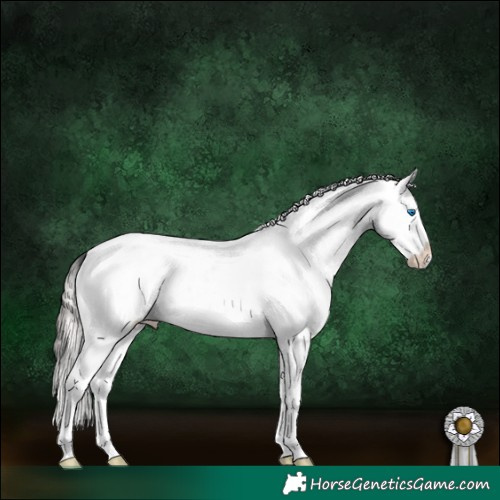 Horse Color:White Spotted Silver Sable Champagne Splash 