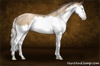 Horse Color:Chocolate Palomino Pearl Splash