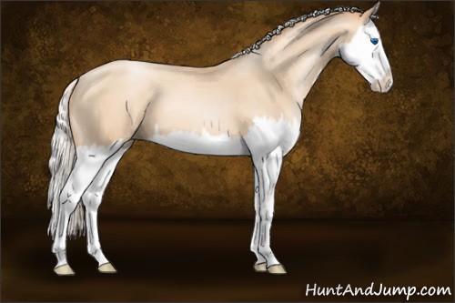 Horse Color:Silver Classic Champagne Pearl Splash 