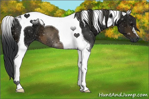 Horse Color:Brown Ice Tobiano 