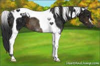 Horse Color:Brown Ice Tobiano